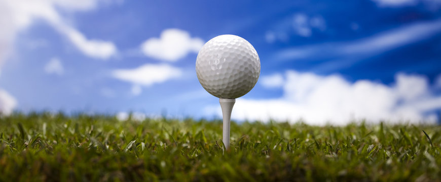  Golf club and ball in grass 