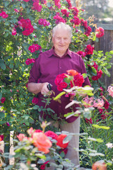 old men with rose in garden