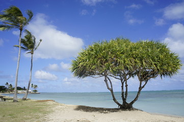 Kualoa Regional Park, Hawaii