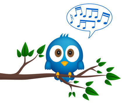 Blue bird sitting on twig, singing