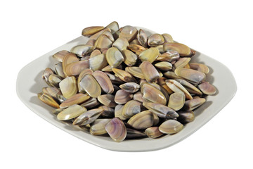 A plate of fresh clams