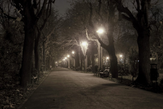 Fototapeta Park alley by night