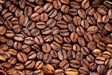 Roasted Coffee beans closeup background