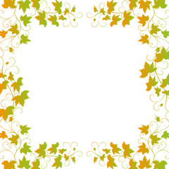 weinblatt, weinblätter, weinrebe, vine, laub, rahmen, vektor,   