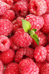 ripe raspberries background.with mint