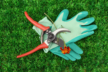 Secateurs with flower on green grass background