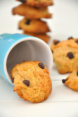 Chocolate Chip Peanut Butter Cookies
