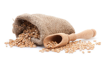 Grains in small burlap sack