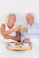 Obraz na płótnie Canvas Old couple toasting at breakfast with orange juice