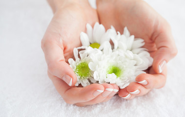 French manicured hands holding flowers