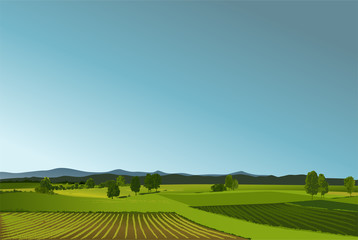 Rural landscape with geen fields