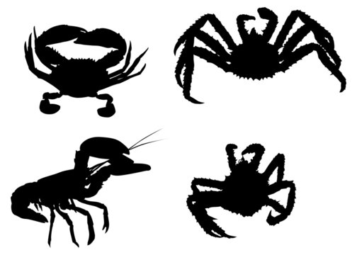 set of crab silhouettes isolated on white