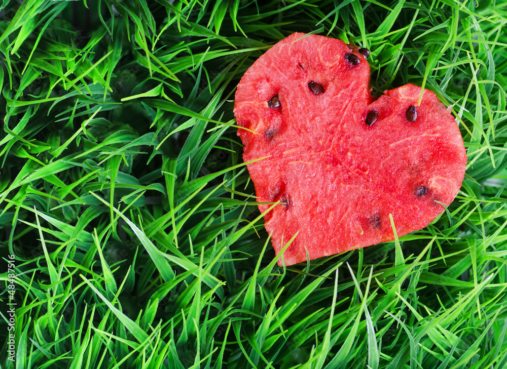 Canvas Prints Watermelon heart on green grass. Valentine concept