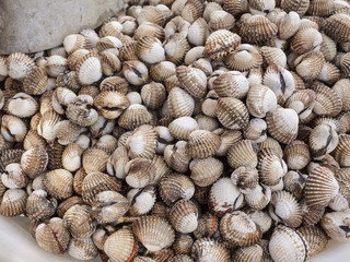 background fresh cockles for sale at market
