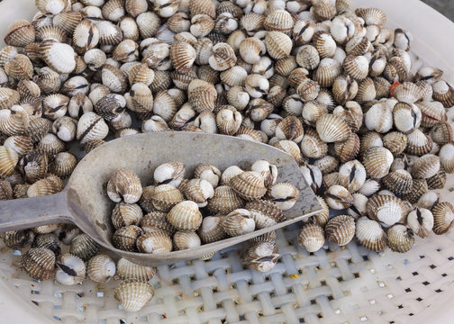 background fresh cockles for sale at market
