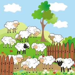 Plaid mouton avec photo Ferme des moutons