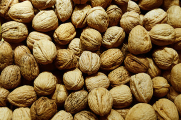 Heap of walnuts