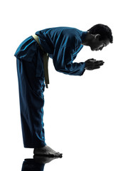 karate vietvodao martial arts man silhouette © snaptitude