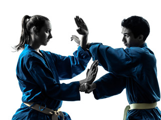 karate vietvodao vechtsporten man vrouw paar silhouet