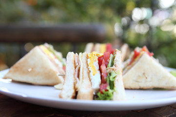 Club sandwich with on wood background
