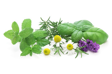 Mixed Herbs on white background © haru