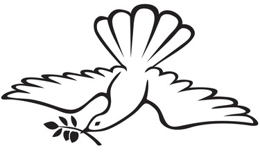 Dove with olive