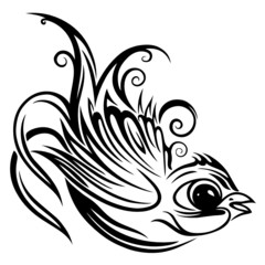 Schwalbe, Frühling, swallow