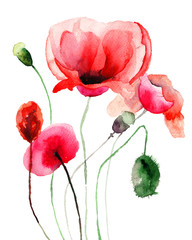 Panele Szklane  Ilustracja stylizowane kwiaty maku