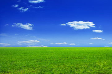 Fototapeta na wymiar Zielona łąka i błękitne niebo