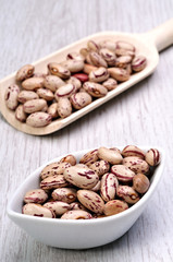 Pinto Bean on Wooden Spoon