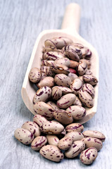 Kidney Bean on Wooden Spoon