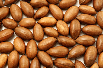 Obraz premium Pecan nuts