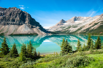 Bow Lake Panorama - 48501925