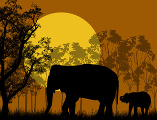 Fototapeta na wymiar Elephant family in wild african landscape