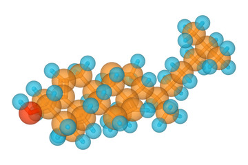 cholesterol molecule