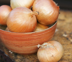 Self grown onions in a bowl