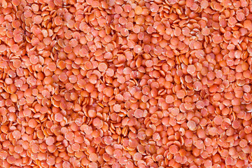 Red lentils