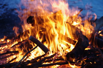 Pieczenie kiełbaski nad ogniskiem