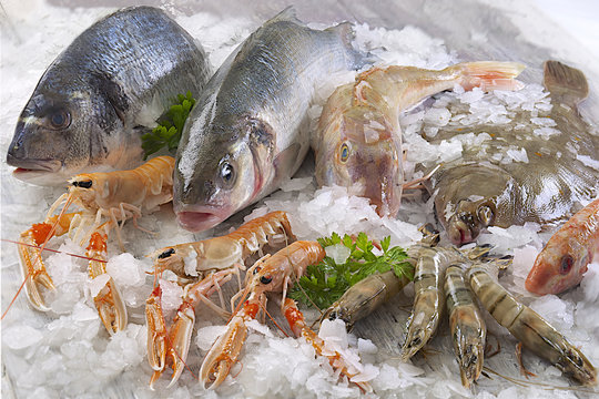 &Eacute;tal de poissons sur glace pill&eacute;e