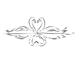 swans © Sergejs Katkovskis