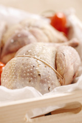 two pheasants bird, plucked and stuffed in wooden box