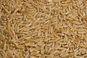 Raw brown rice