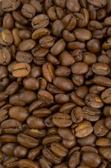 Kaffeebohnen