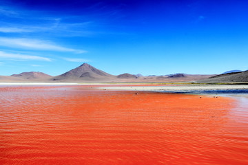 Laguna colorada © Aouisha