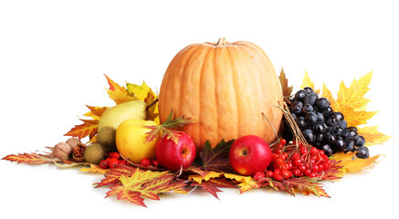 beautiful autumn harvest and leaves isolated on white