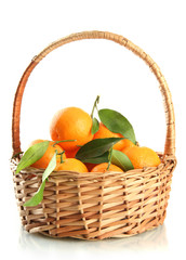 Ripe sweet tangerine with leaves in basket, isolated on white