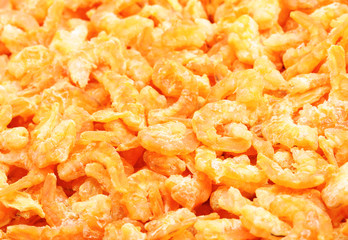 dry shrimp