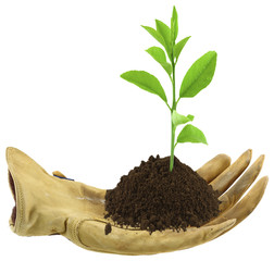 concept écologie protection nature