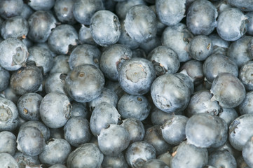 blueberries