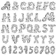 Naklejka premium foliage vintage alphabet
